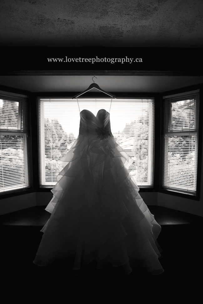 image by coquitlam wedding photographer www.lovetreephotography.ca