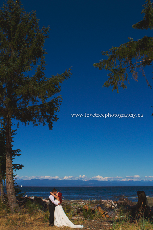 Campbell River wedding photography | Shelter Point Distillery | Image by www.lovetreephotography.ca