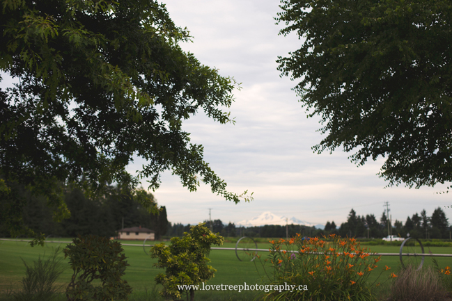 Driediger Farms Blueberry picking | Langley BC | www.lovetreephotography.ca