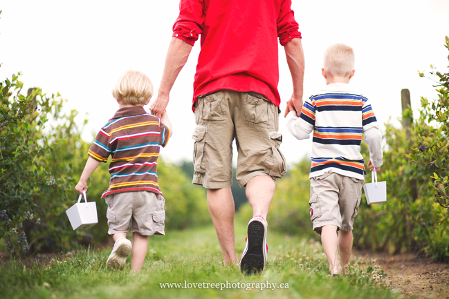 Driediger Farms Blueberry picking lifestyle family portrait session | image by www.lovetreephotography.ca