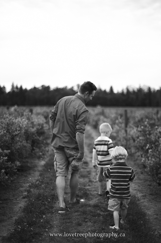 Driediger Farms Blueberry picking lifestyle family portrait session | image by www.lovetreephotography.ca