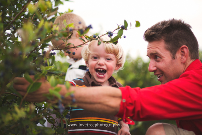 Driediger Farms Blueberry picking lifestyle family portrait session | image by www.lovetreephotography.ca