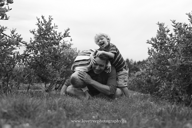Langley blueberry farms | Journalistic Family Portrait Sessions | www.lovetreephotography.ca