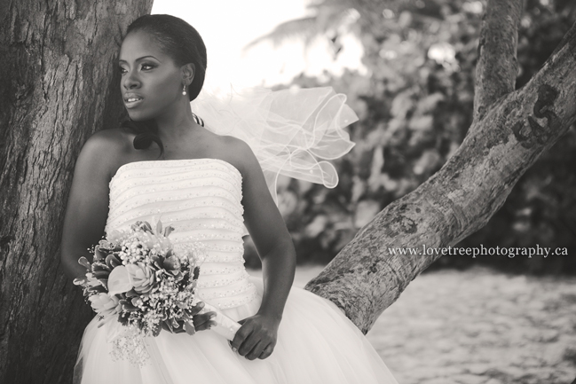 barbados wedding photographer