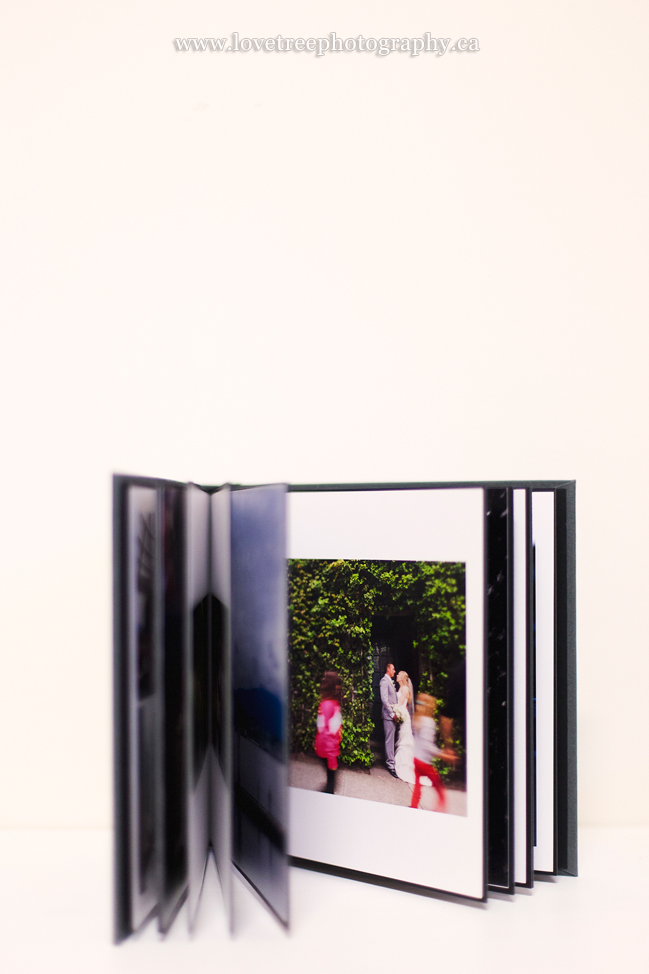 hand mounted wedding album by www.lovetreephotography.ca