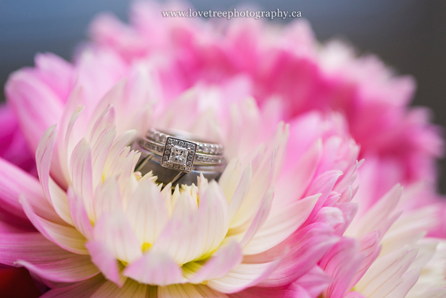 dahlias + wedding rings | www.lovetreephotography.ca