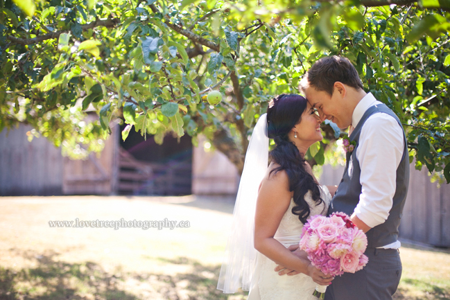 rustic barn weddings in vancouver | www.lovetreephotography.ca