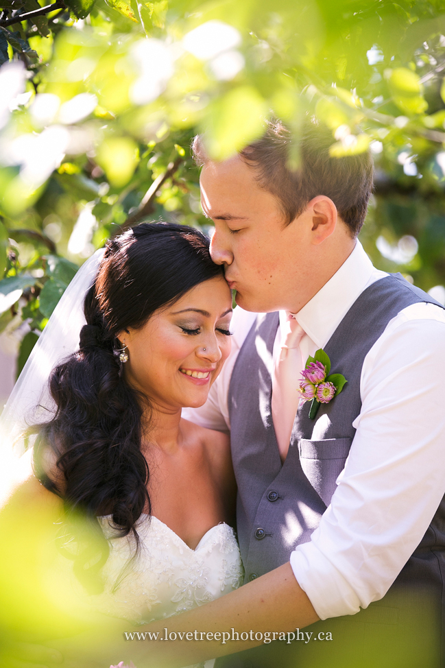 bridal portraits in an apple orchard | www.lovetreephotography.ca