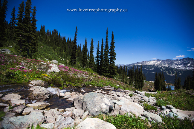 Rock the frock session in Whistler BC