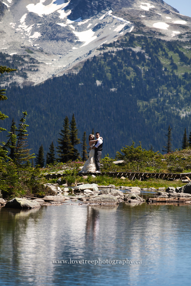 stunning wedding portrait in whistler bc | www.lovetreephotography.ca