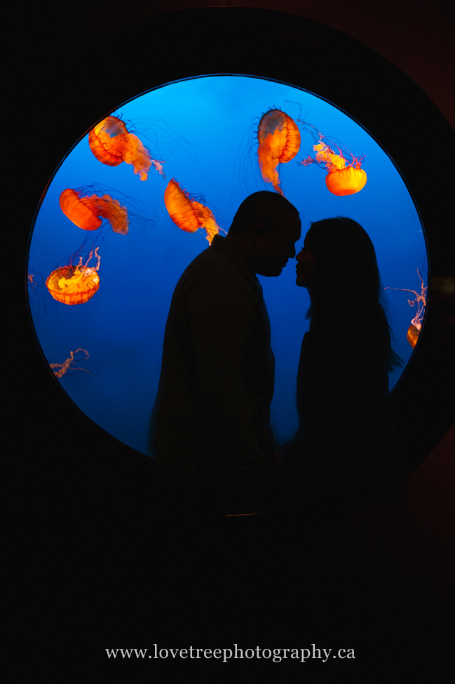 Vancouver Aquarium Wedding Venue