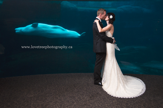 Vancouver Aquarium Wedding