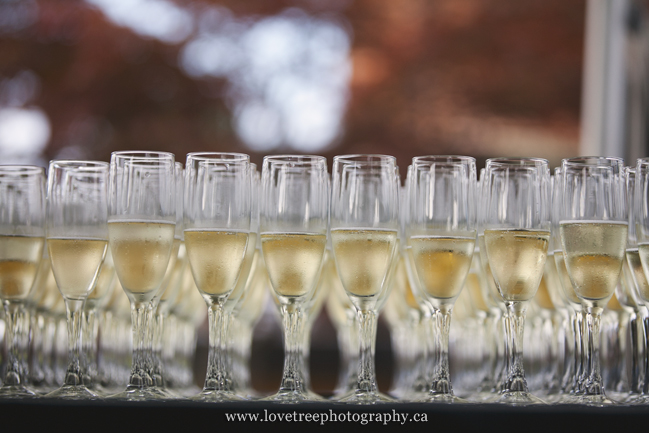 wedding champagne toast