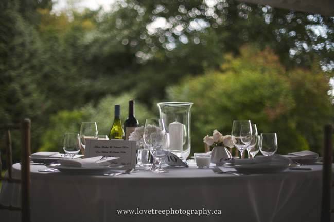 lavender tea party wedding by www.lovetreephotography.ca