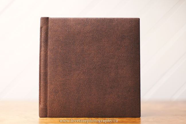 brown flush mounted wedding albums