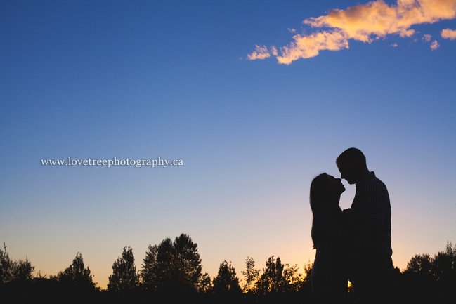 Romantic Sunset in Vancouver by engagement photographers www.lovetreephotography.ca