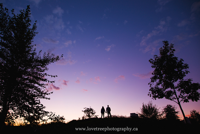 Romantic Sunset in Vancouver by engagement photographers www.lovetreephotography.ca