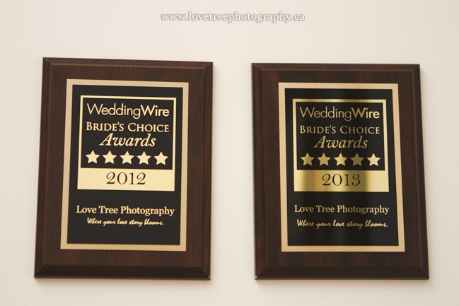 Love Tree Photography Wedding Wire Awards