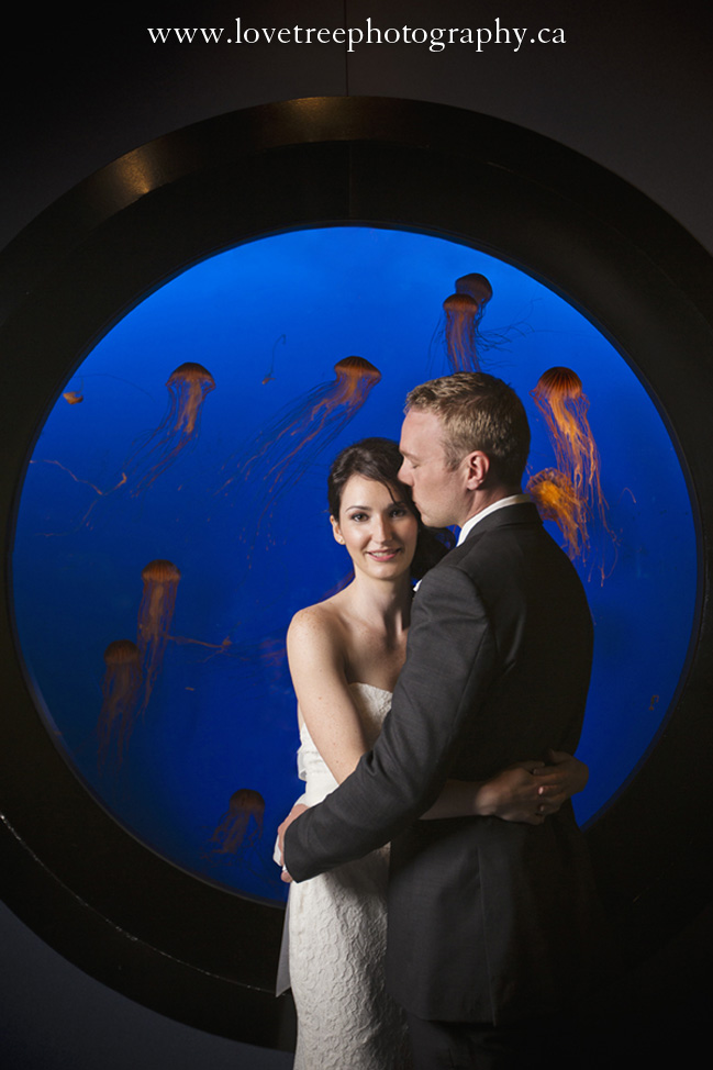 Vancouver Aquarium Wedding in Stanely Park BC | Vancouver wedding photographer Love Tree Photography