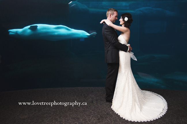 Vancouver Aquarium Wedding in Stanely Park BC | Vancouver wedding photographer Love Tree Photography