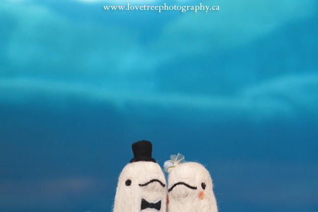 Vancouver Aquarium Wedding in Stanely Park BC | Vancouver wedding photographer Love Tree Photography