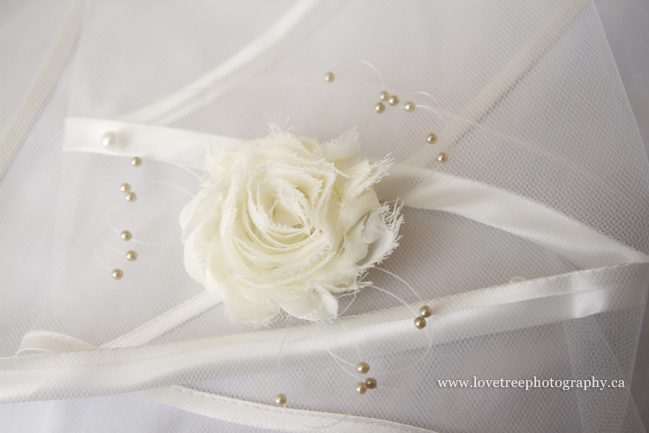 hairpieces for a wedding image by www.lovetreephotography.ca