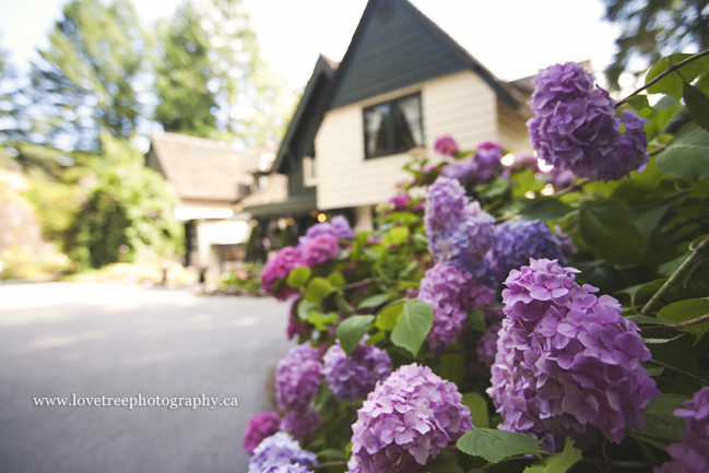 rustic weddings at minnekhada lodge in coquitlam bc image by www.lovetreephotography.ca