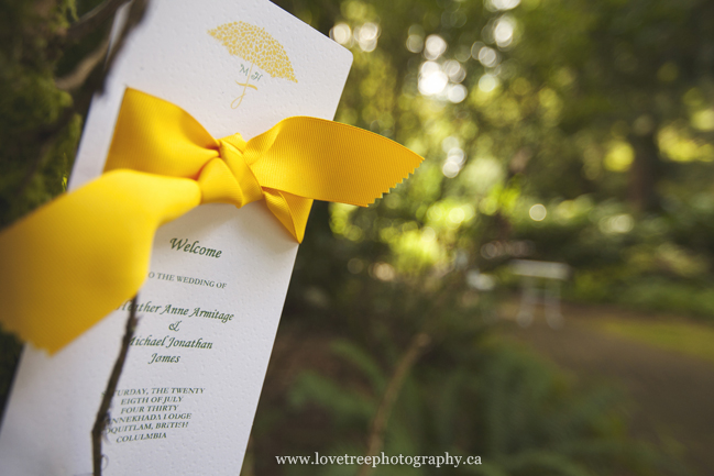 forest weddings at minnekhada lodge in coquitlam image by www.lovetreephotography.ca