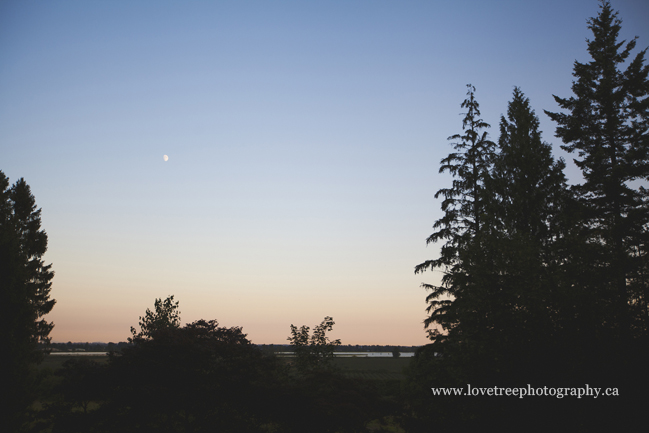 rustic wedding at sunset image by www.lovetreephotography.ca