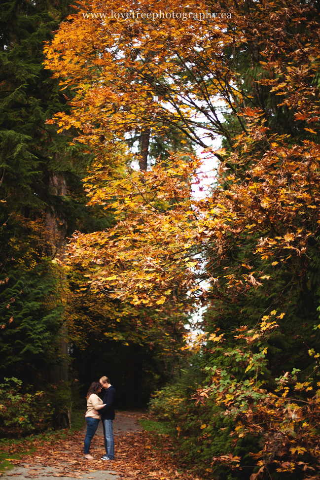 vancouver engagement photographer in stanley park