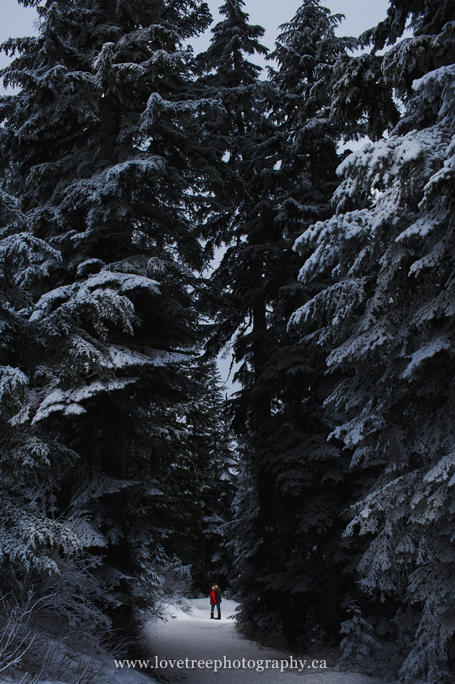 snowy forest engagement session