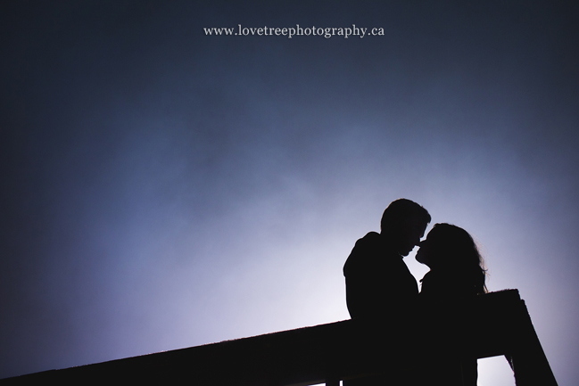 pre-wedding portraits