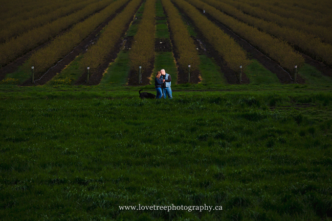 ladner farm engagement session