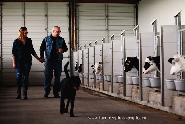 privately owned dairy farm