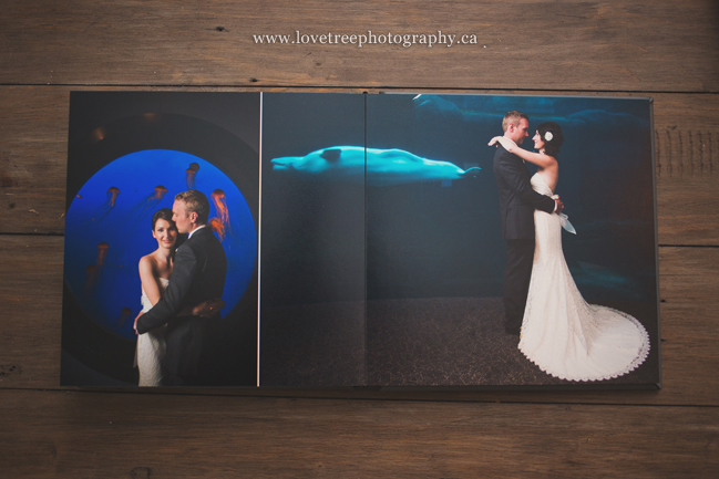 vancouver aquarium wedding