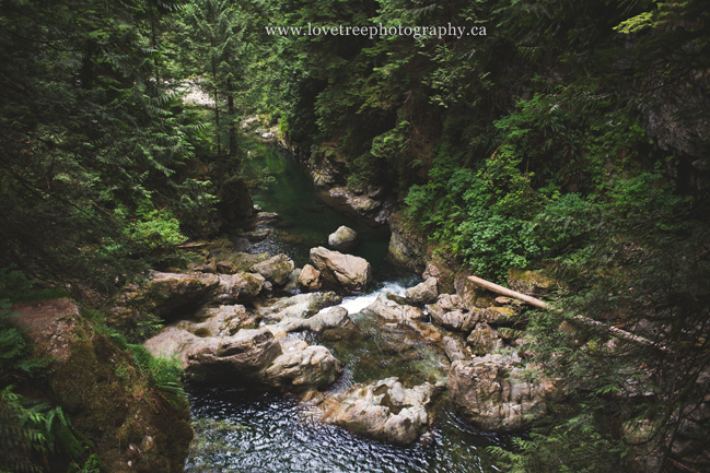 pacific northwest forest wedding