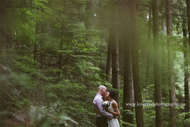 Vancouver BC forest elopement