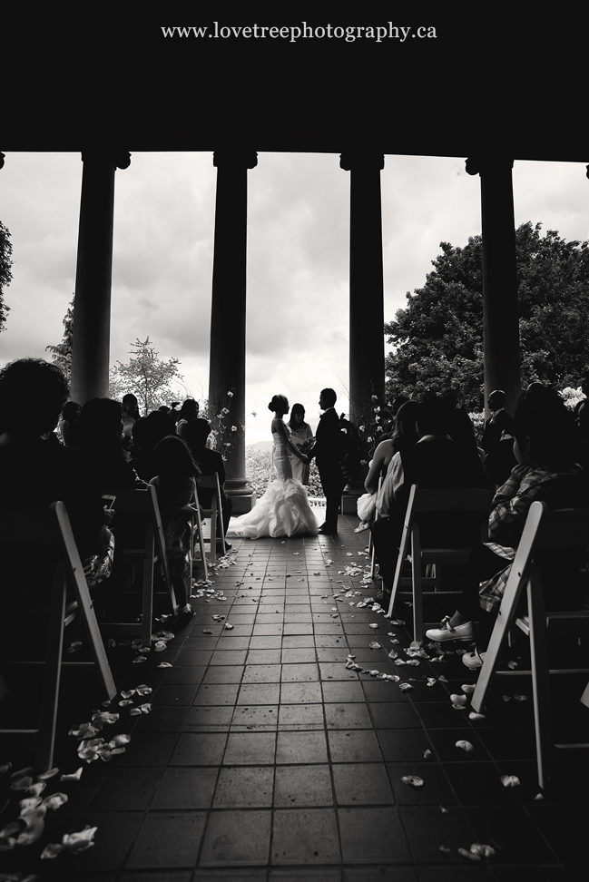 top wedding photographer