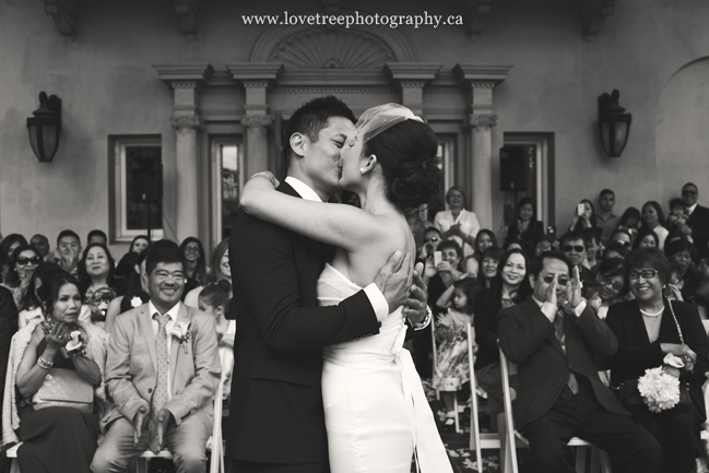 Love tree photography vancouver