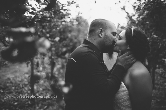 chilliwack wedding photographers